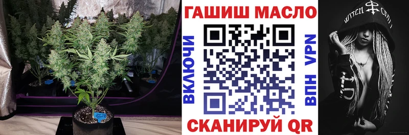 как найти   Нариманов  ТГК THC oil 